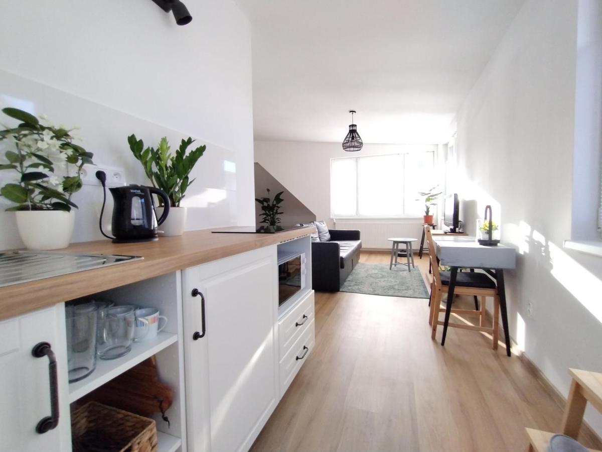 Attic Apartment Catnip Братислава Екстер'єр фото