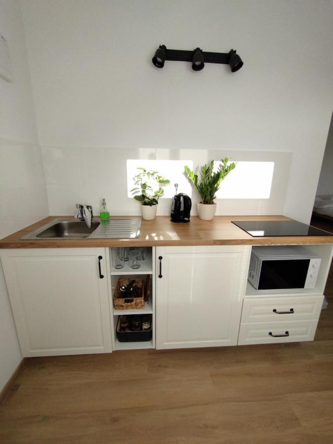 Attic Apartment Catnip Братислава Екстер'єр фото